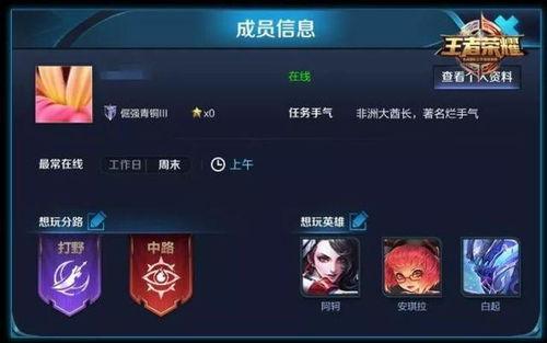 王者风神爆料最新消息,神秘英雄即将登场，游戏格局将迎巨变！